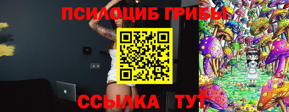 Татарск  Псилоцибиновые грибы Psilocybine cubensis  Вход с VPN 