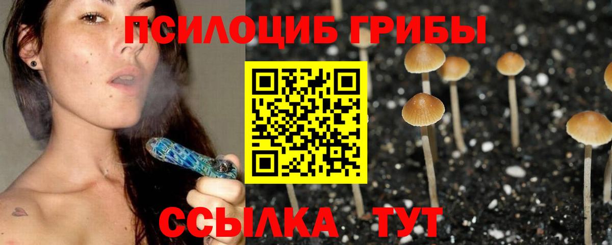 Бошки Шишки Татарск